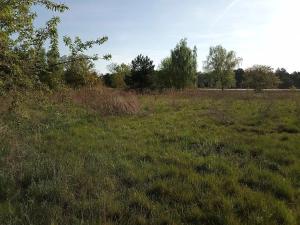 Prodej pole, Brandýs nad Labem-Stará Boleslav, 250000 m2