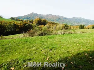 Prodej louky, Čeladná, 13031 m2