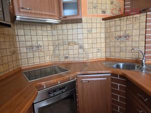 Pronájem bytu 1+1, Cheb, Dvořákova, 42 m2