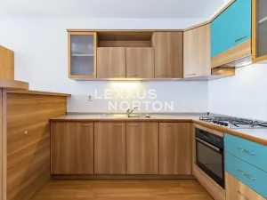 Pronájem bytu 2+kk, Praha - Vinohrady, Záhřebská, 65 m2