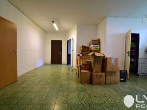 Prodej komerční nemovitosti, Nové Město na Moravě, 230 m2