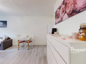 Prodej bytu 2+kk, Slaný, Vikova, 42 m2