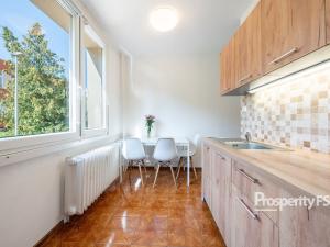 Pronájem bytu 2+1, Ústí nad Labem - Neštěmice, Mlýnská, 61 m2