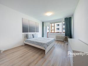 Pronájem bytu 2+1, Ústí nad Labem - Neštěmice, Mlýnská, 61 m2