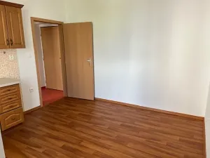 Pronájem bytu 1+kk, České Budějovice, Branišovská, 25 m2