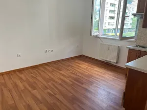 Pronájem bytu 1+kk, České Budějovice, Branišovská, 25 m2