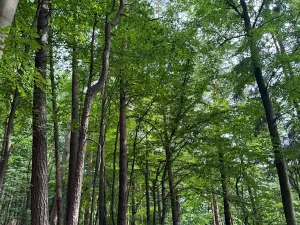 Prodej pozemku, Bohutín, 50672 m2