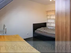 Pronájem pokoje, Praha - Nusle, Horní, 20 m2