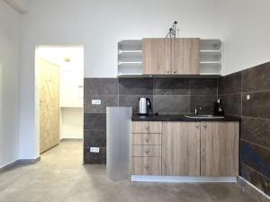 Pronájem bytu 1+1, Praha - Libeň, V Holešovičkách, 47 m2