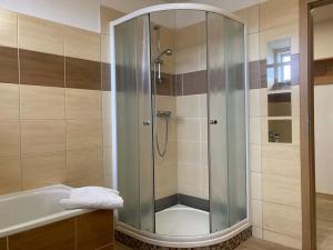 Pronájem bytu 2+kk, Jihlava, Mahlerova, 55 m2