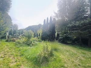 Prodej zahrady, Bělá pod Bezdězem, Nad Kuřívodskou Silnicí, 525 m2