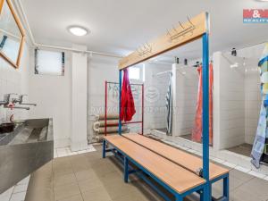 Prodej výrobních prostor, Štětí, Cihelná, 2882 m2