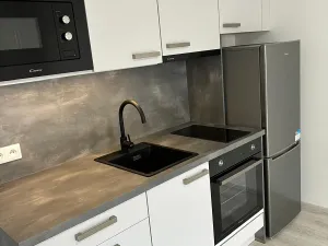 Pronájem bytu 1+kk, Olomouc, Edmunda Husserla, 30 m2
