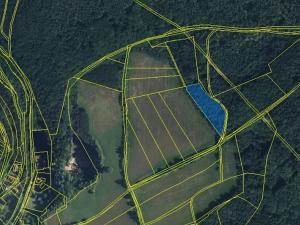 Prodej lesa, Lázně Bělohrad, 17730 m2
