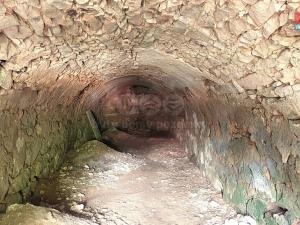 Prodej vinného sklepa, Štoky - Petrovice, 39 m2