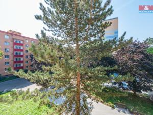 Prodej bytu 2+1, Kolín - Kolín II, Na Magistrále, 55 m2