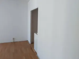 Prodej obchodního prostoru, Praha, Wenzigova, 52 m2