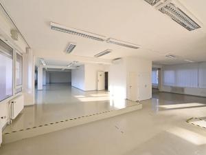 Pronájem skladu, Praha - Prosek, Litvínovská, 287 m2