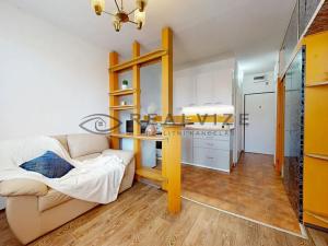 Prodej bytu 1+1, České Budějovice, Nerudova, 36 m2