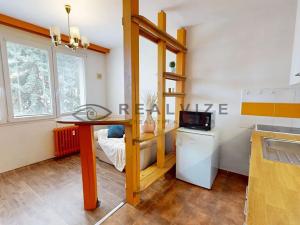 Prodej bytu 1+1, České Budějovice, Nerudova, 36 m2