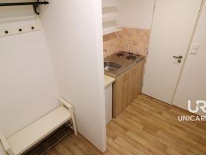 Pronájem bytu 1+kk, Brno - Královo Pole, Purkyňova, 30 m2