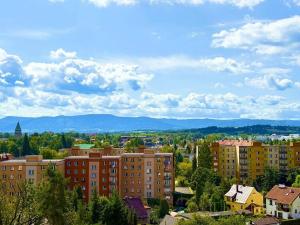 Prodej bytu 1+1, Český Těšín, Hrabinská, 40 m2