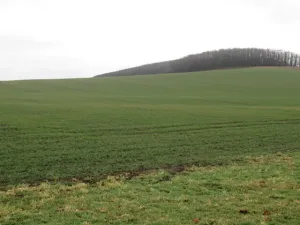 Dražba pole, Kuřim, 346 m2