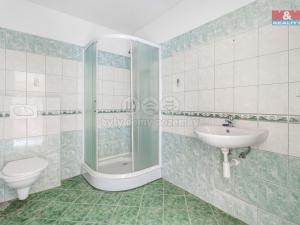 Prodej bytu 1+kk, Mladé Buky, 25 m2