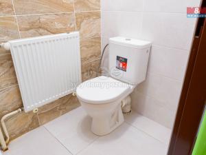 Prodej obchodního prostoru, Vítkov, Opavská, 460 m2