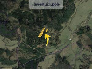 Prodej lesa, Zálezly, 7304 m2