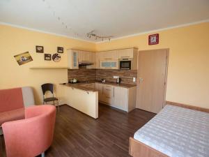 Pronájem bytu 1+kk, Karlovy Vary, Nejdlova, 36 m2