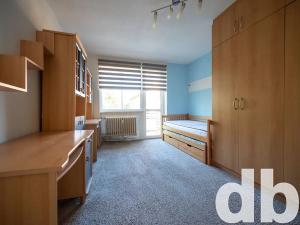 Pronájem bytu 4+kk, Ostrov, Luční, 84 m2