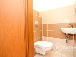 Pronájem bytu 3+kk, Frýdek-Místek - Frýdek, Slezská, 59 m2