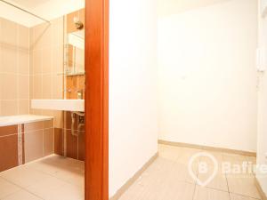 Pronájem bytu 3+kk, Frýdek-Místek - Frýdek, Slezská, 59 m2