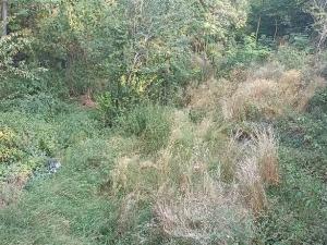 Prodej chaty, Sobotovice, 34 m2