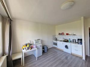Pronájem bytu 1+kk, Brno, Okrouhlá, 28 m2