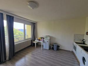 Pronájem bytu 1+kk, Brno, Okrouhlá, 28 m2