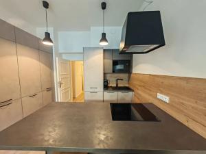 Pronájem bytu 1+kk, Praha - Žižkov, Chlumova, 38 m2