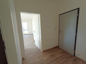 Pronájem bytu 2+kk, Plzeň - Litice, 52 m2