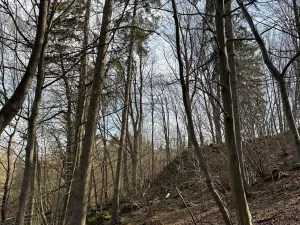 Prodej pozemku, Louňovice pod Blaníkem, 23891 m2