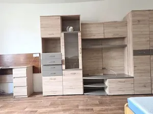 Prodej bytu 1+1, Mladé Buky, 49 m2