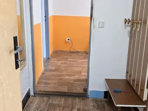Prodej bytu 1+1, Mladé Buky, 49 m2
