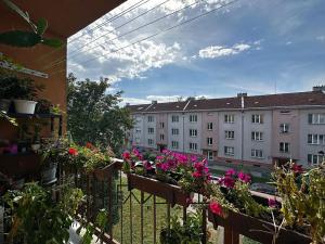 Prodej bytu 2+1, Ostrava, Jirská, 60 m2