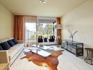 Pronájem bytu 2+kk, Praha - Vinohrady, Italská, 75 m2
