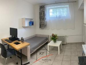 Pronájem bytu 1+kk, Lovosice, Krátká, 20 m2
