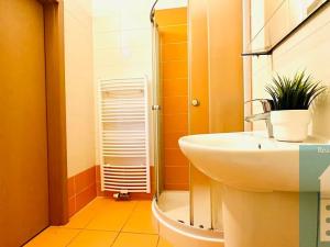 Pronájem bytu 1+kk, Kroměříž, Kojetínská, 28 m2