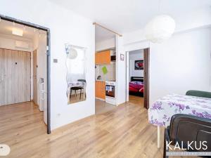 Prodej bytu 2+kk, Mladá Boleslav, Jičínská, 39 m2