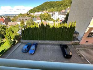 Pronájem bytu 3+kk, Karlovy Vary, Raisova, 100 m2