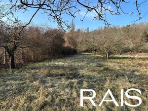 Prodej zahrady, Brno, Cacovice, 6555 m2