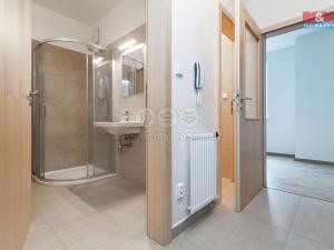 Pronájem bytu 1+kk, Plzeň - Litice, Vysoká, 38 m2